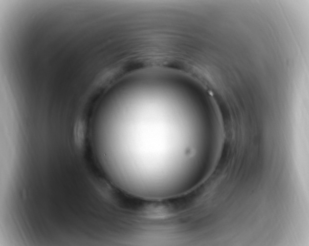 X0000099580742200805231550
