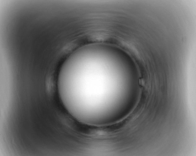 X0000099580743200805231550