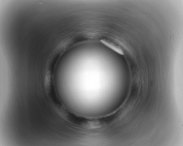 X0000099580744200805231550