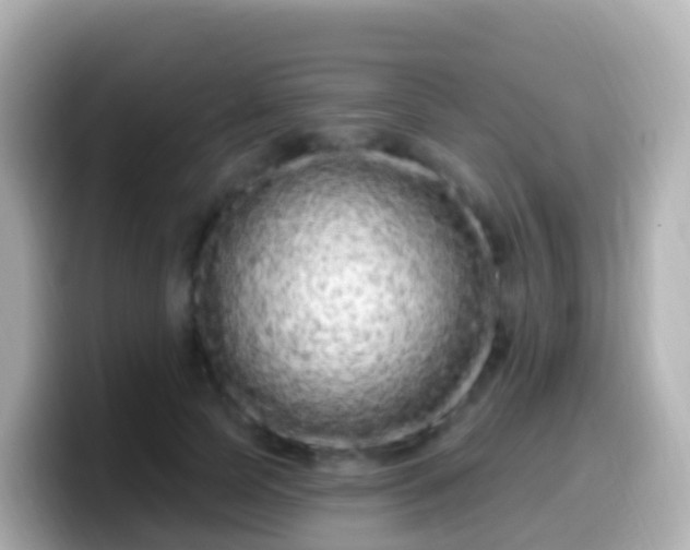 X0000099580745200805231550