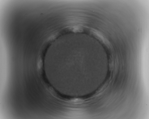 X0000099580748200805231550