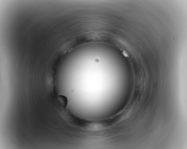 X0000099580749200805231550