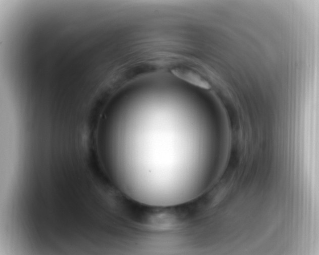 X0000099580750200805231550