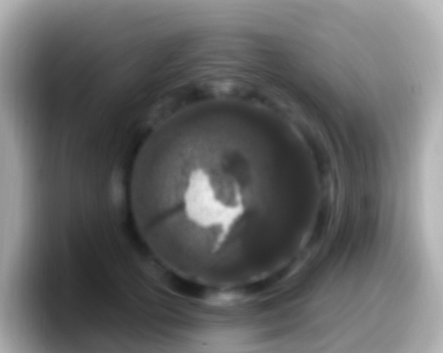 X0000099580754200805231550