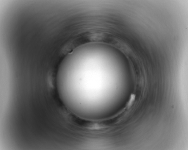 X0000099580755200805231550
