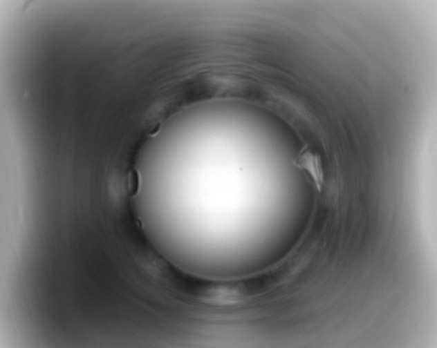 X0000099580756200805231550