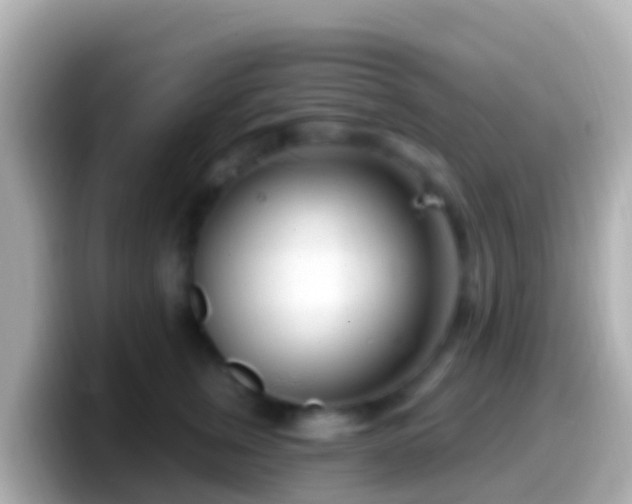 X0000099580759200805231550