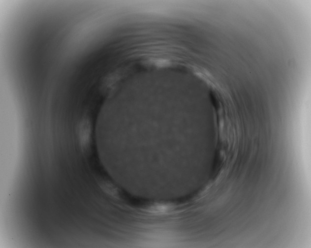 X0000099580760200805231550