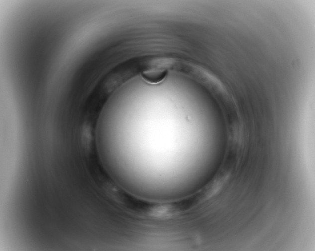 X0000099580761200805231550