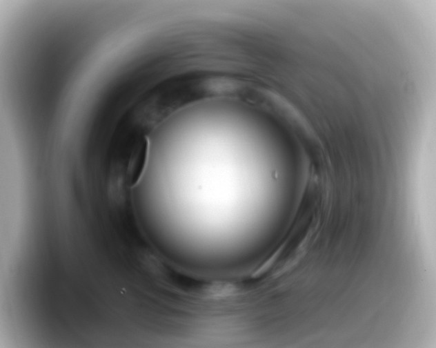 X0000099580762200805231550