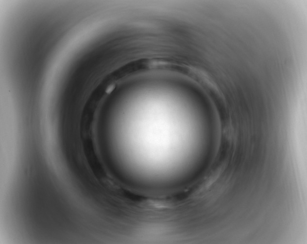 X0000099580763200805231550