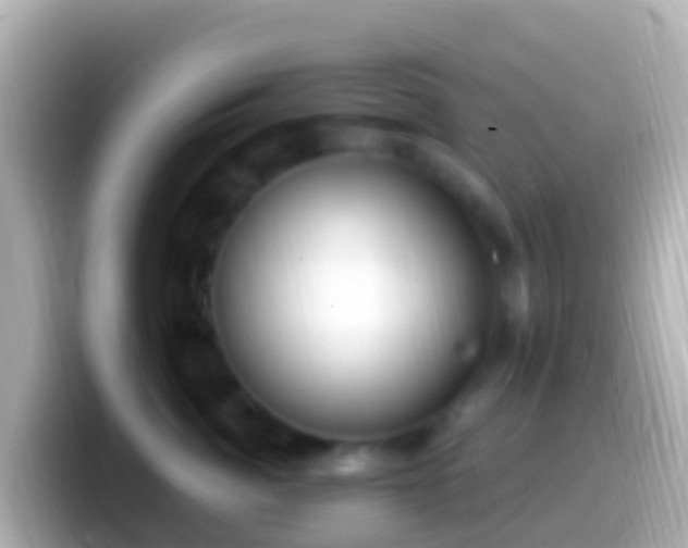 X0000099580764200805231550
