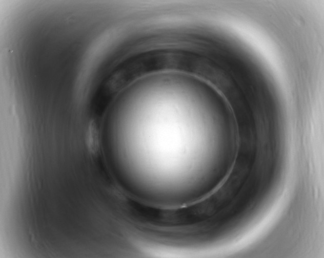 X0000099580766200805231550