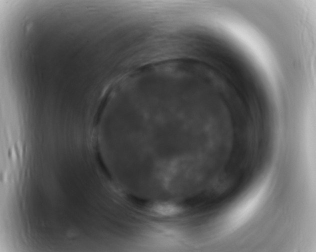 X0000099580767200805231550