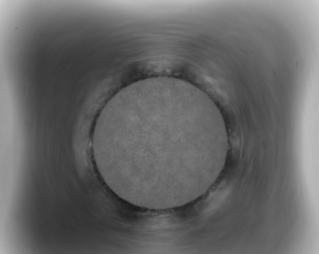 X0000099580769200805231550