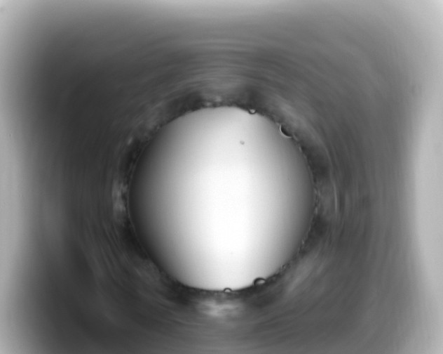 X0000099580770200805231550