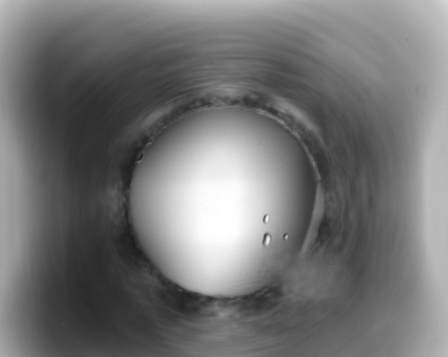 X0000099580773200805231550