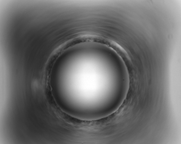 X0000099580775200805231550