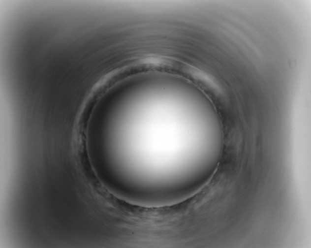 X0000099580776200805231550