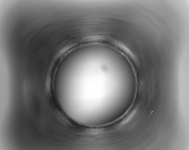 X0000099580778200805231550