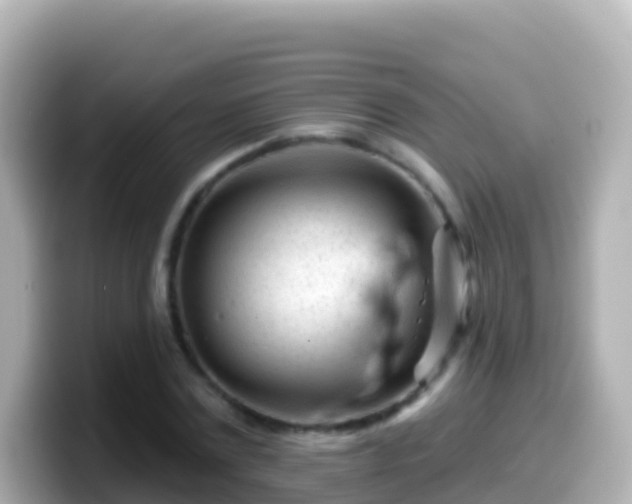 X0000099580779200805231550