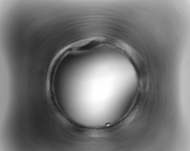 X0000099580780200805231550