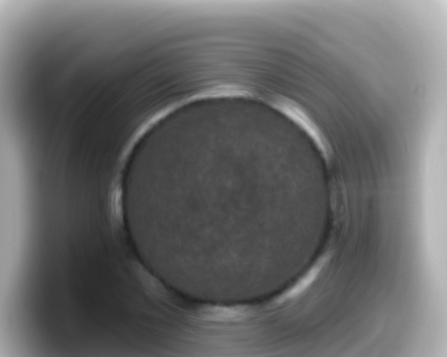 X0000099580781200805231550