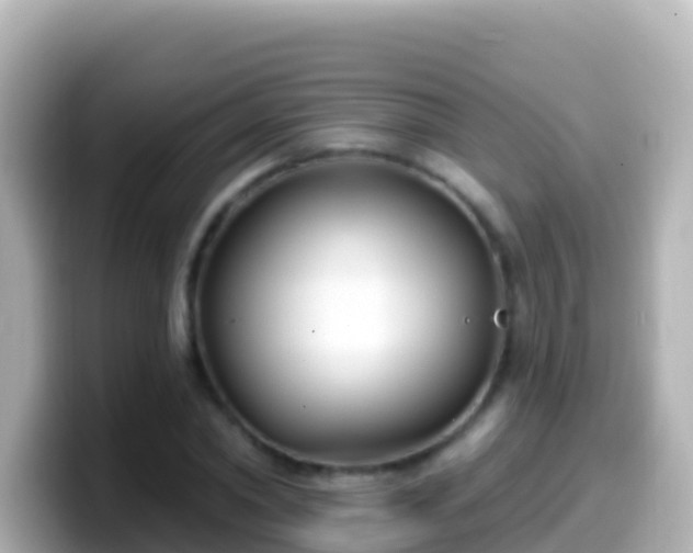 X0000099580782200805231550