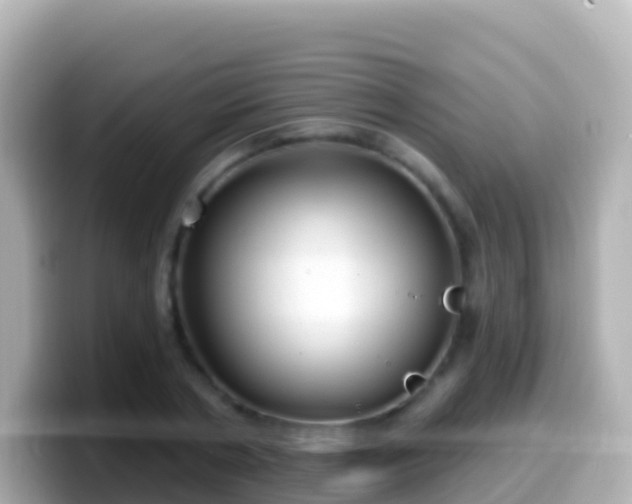 X0000099580786200805231550
