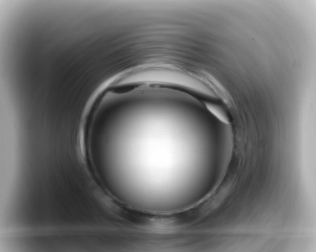 X0000099580788200805231550