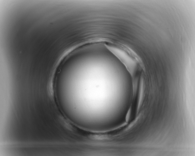 X0000099580789200805231550