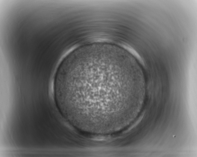 X0000099580790200805231550