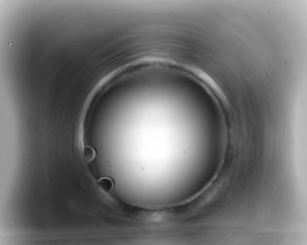 X0000099580791200805231550