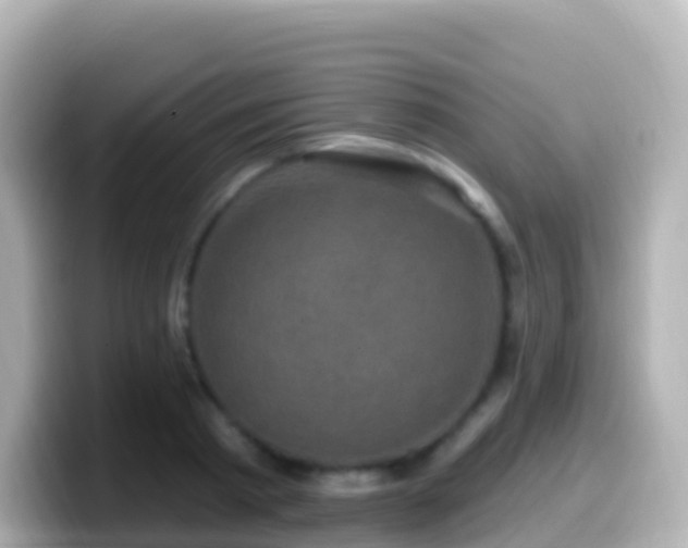 X0000099580793200805231550
