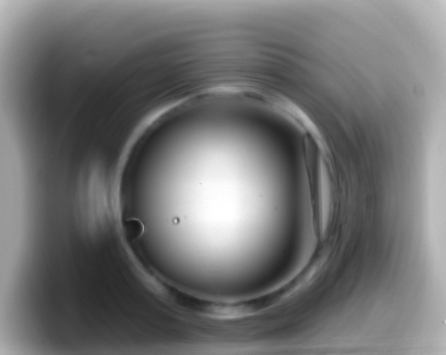 X0000099580795200805231550