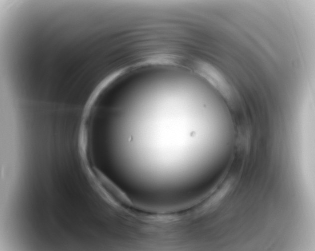 X0000099580804200805231549