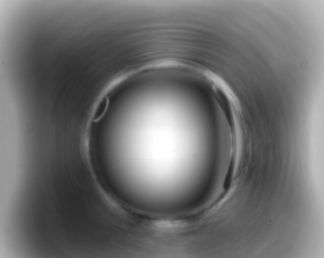X0000099580805200805231549