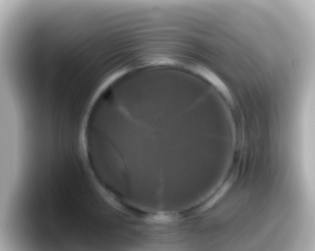 X0000099580806200805231549