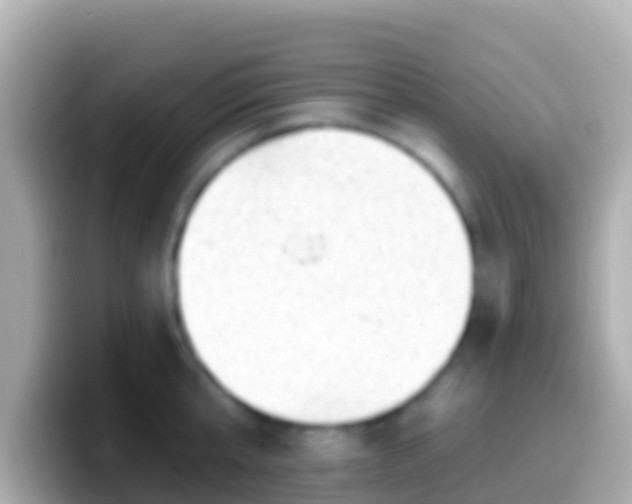 X0000099580807200805231549