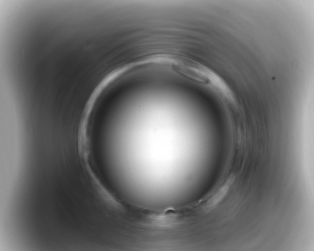 X0000099580808200805231549