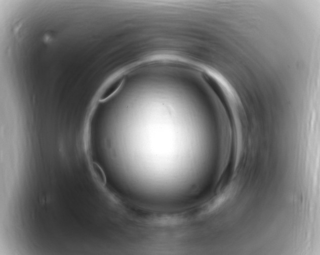 X0000099580815200805231549