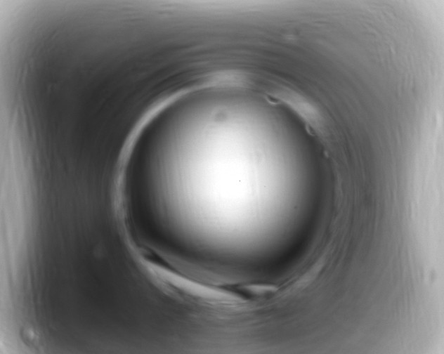 X0000099580816200805231549
