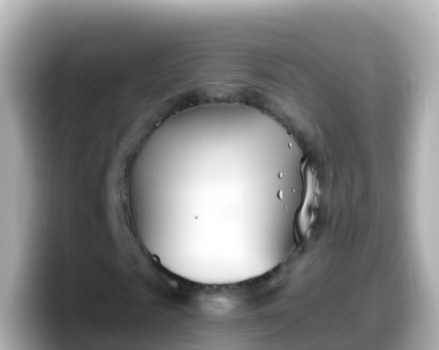 X0000099580817200805231549
