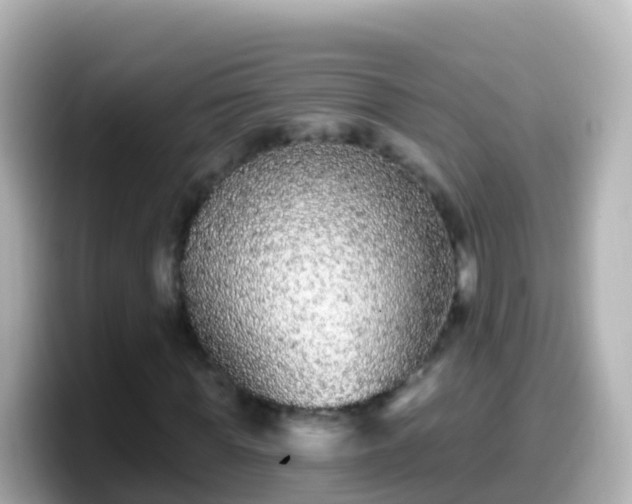 X0000099580819200805231549