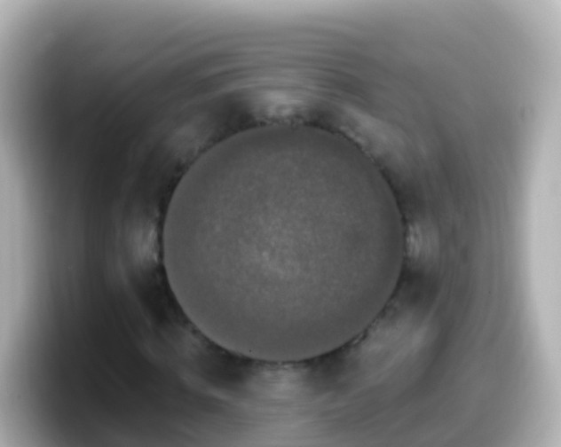 X0000099580820200805231549