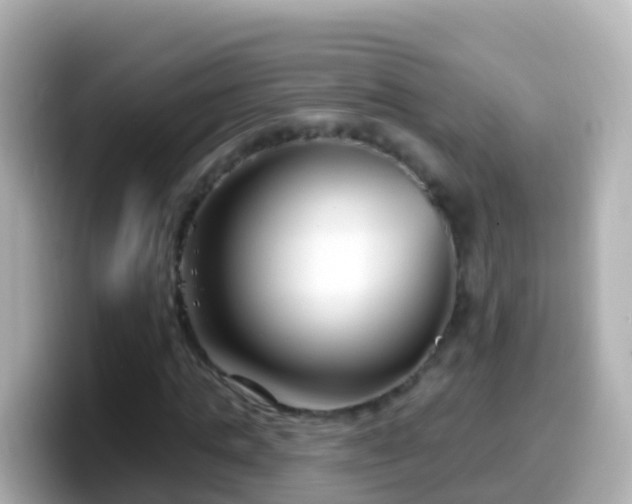 X0000099580821200805231549