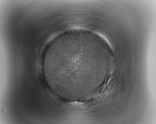X0000099580823200805231549