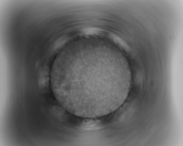 X0000099580824200805231549