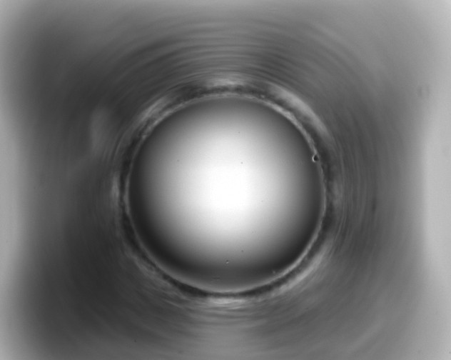 X0000099580825200805231549