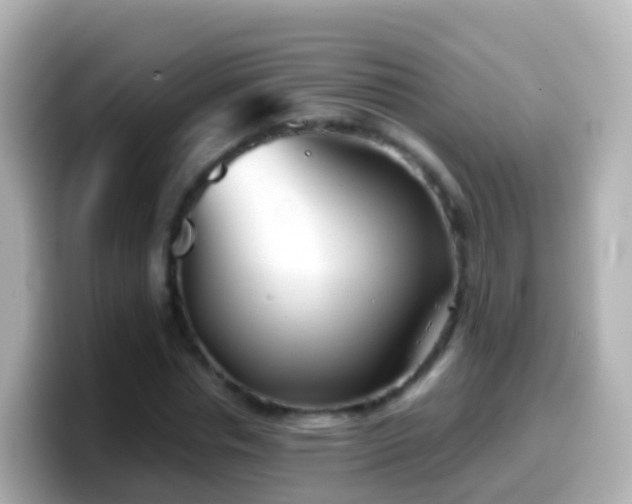 X0000099580826200805231549